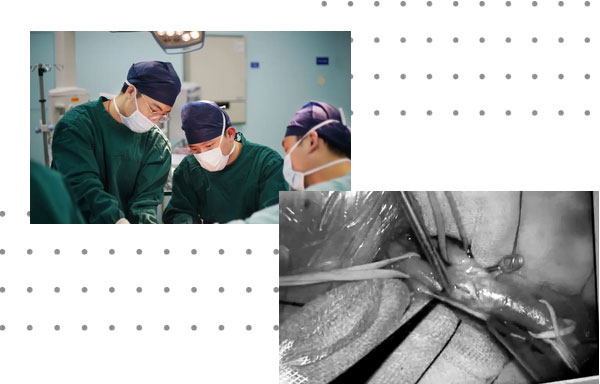 ������ʿ�ڞ黼�����g(sh��)