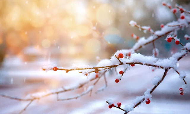 ������⺮�䣬�ǰd�B�װl(f��)��