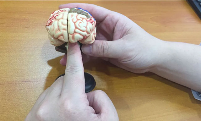 ����Ԕ���黼�߽�B��ü�������i����·���g����